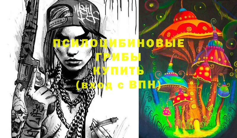 Галлюциногенные грибы Psilocybe  Полтавская 